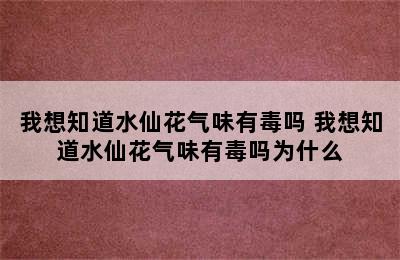 我想知道水仙花气味有毒吗 我想知道水仙花气味有毒吗为什么